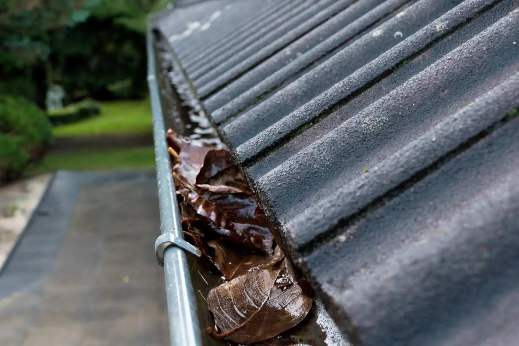 Gutter cleaning